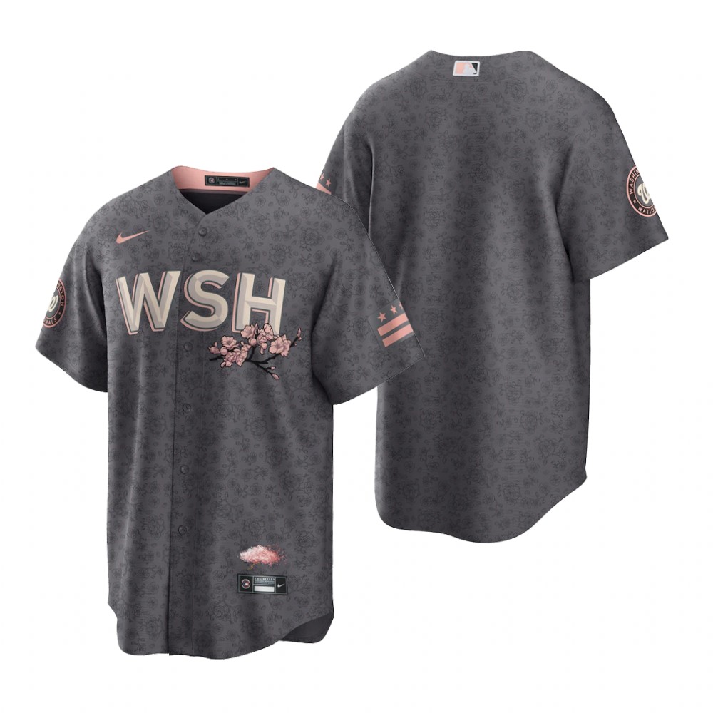 Washington Nationals Blank Men's Nike Gray Game 2022 City Connect Replica Jersey