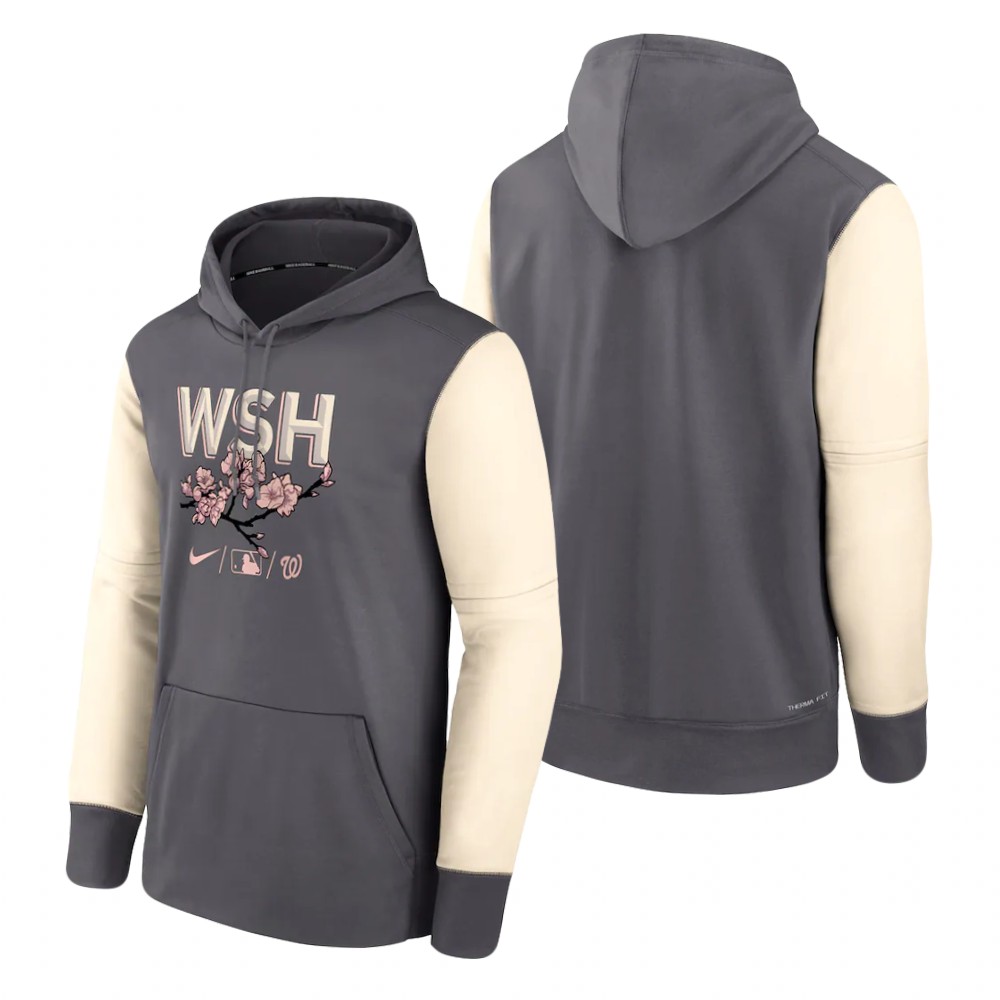Washington Nationals Blank 2022 City Connect Gray Hoodie
