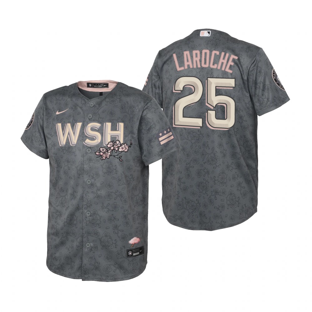 Washington Nationals #25 Adam LaRoche Youth Nike Gray 2022 City Connect Replica Jersey